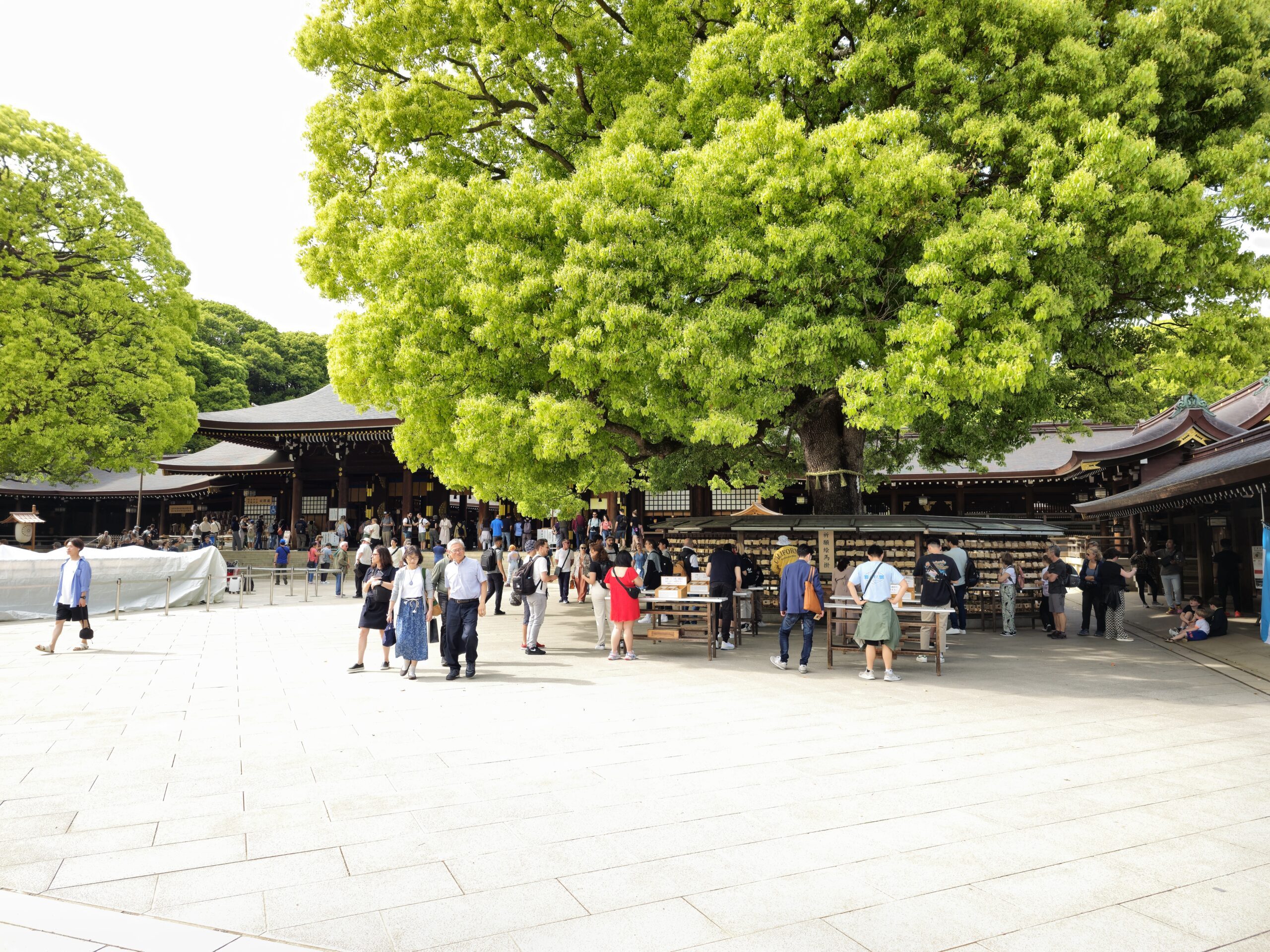 Japon Escapade Meiji-jingu