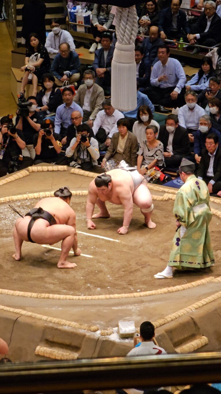 Combat de sumo