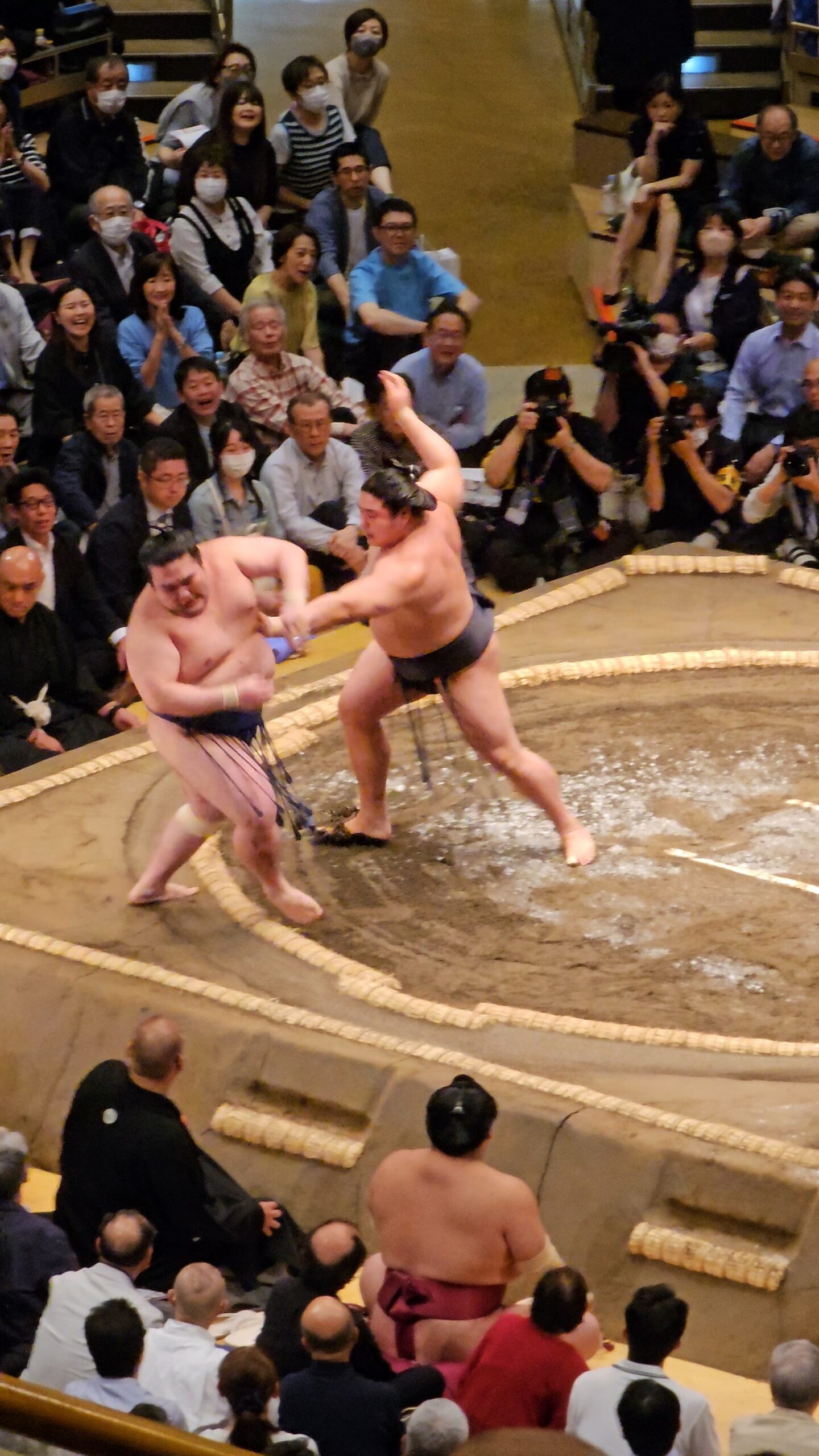 Combat de sumo 3