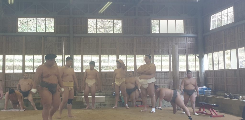 Sumo entraînement