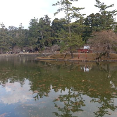 étang parc de nara