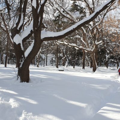 hiver neige sapporo