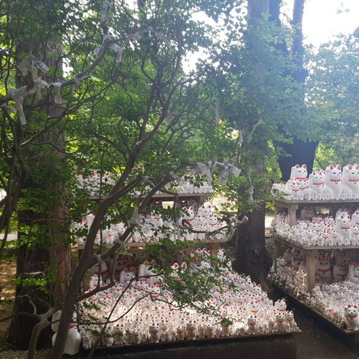 Maneki Neko temple Gotokuji