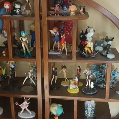 Bibliothèque de figurines
