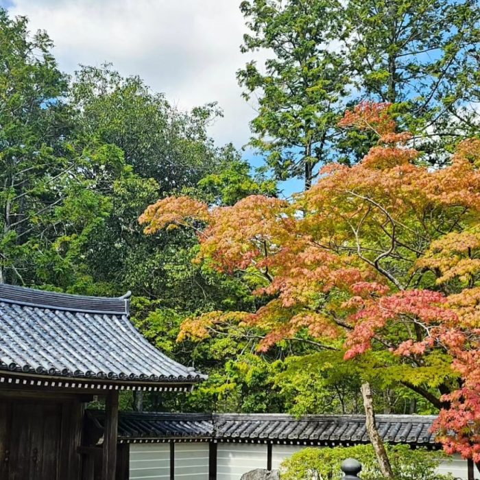automne saiho-ji
