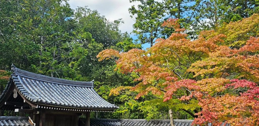 automne saiho-ji