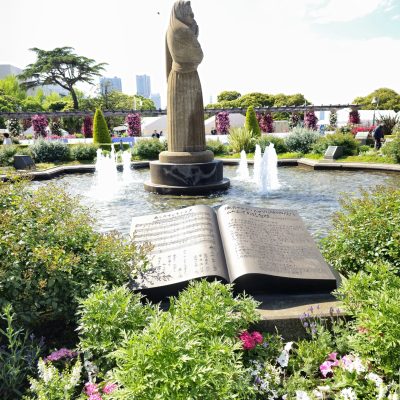 Roses du parc Yamashita Yokohama 8