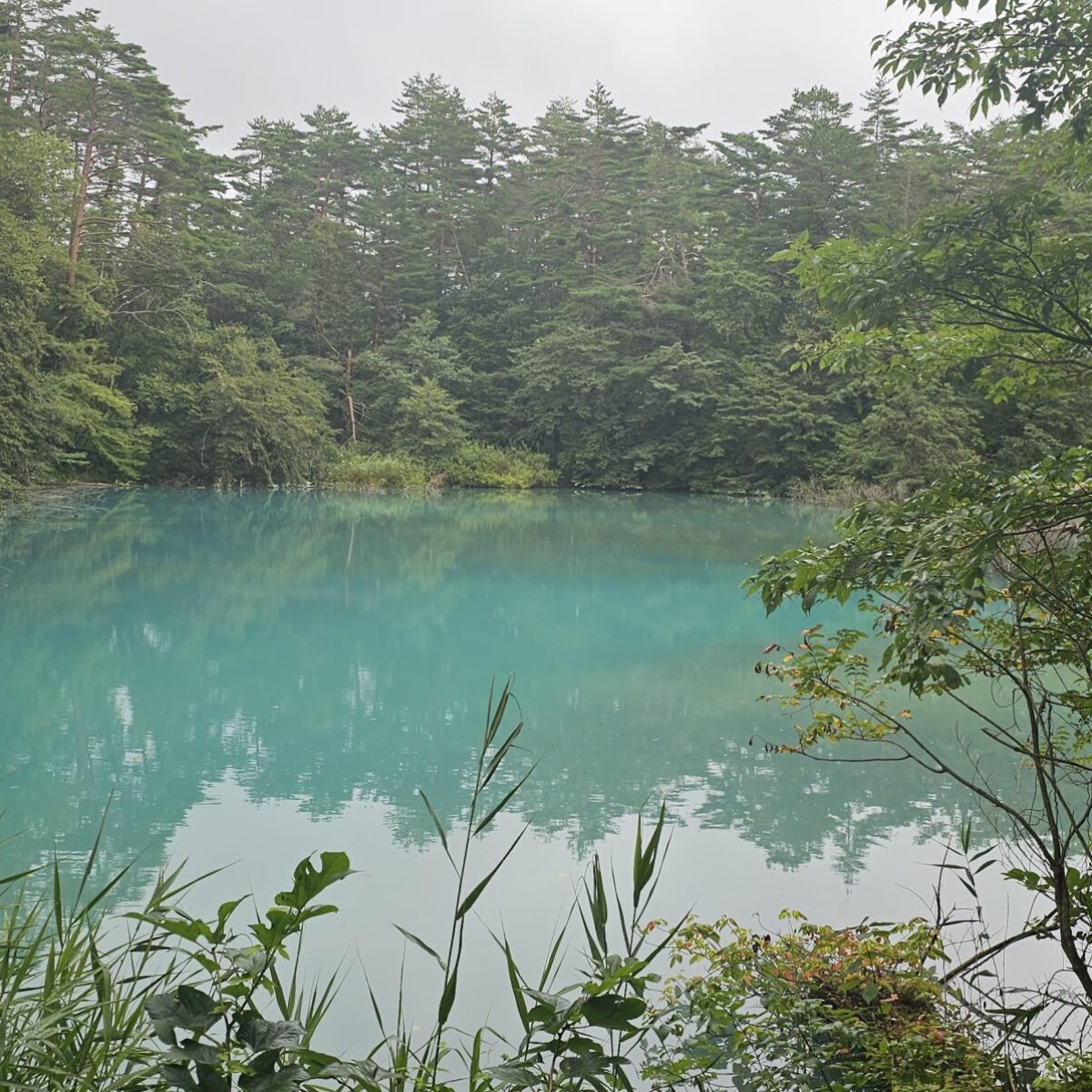 Japon en été Goshikinuma