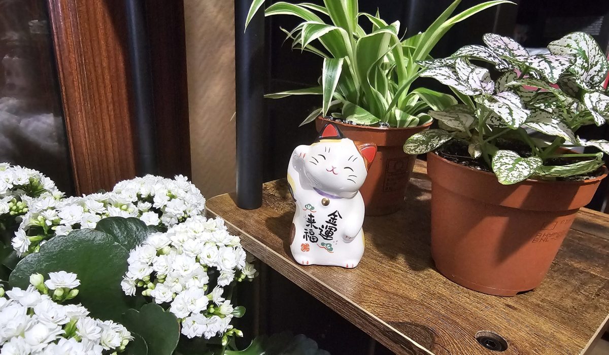 Maneki Neko