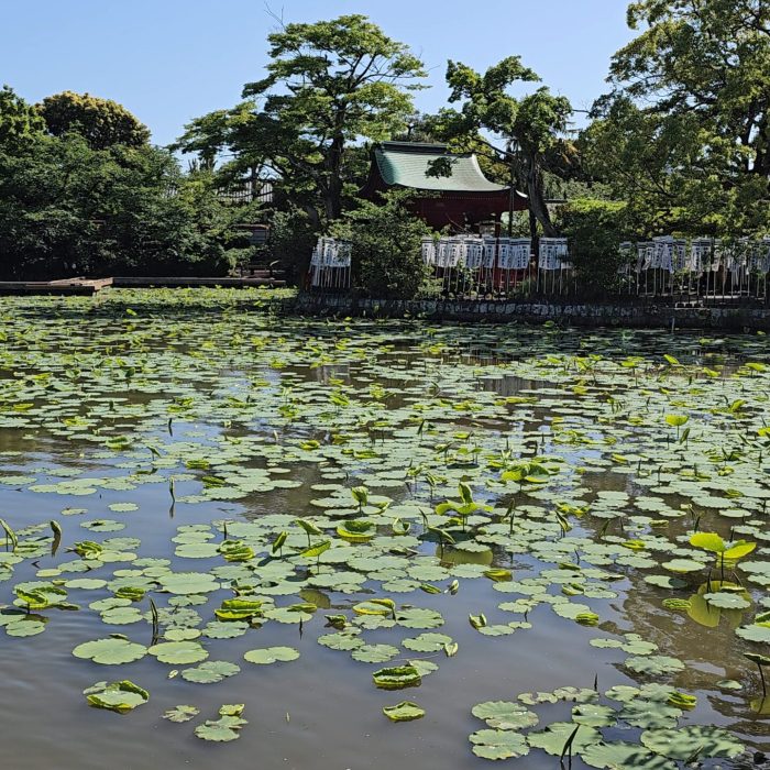 Japon escapade kamakura lac